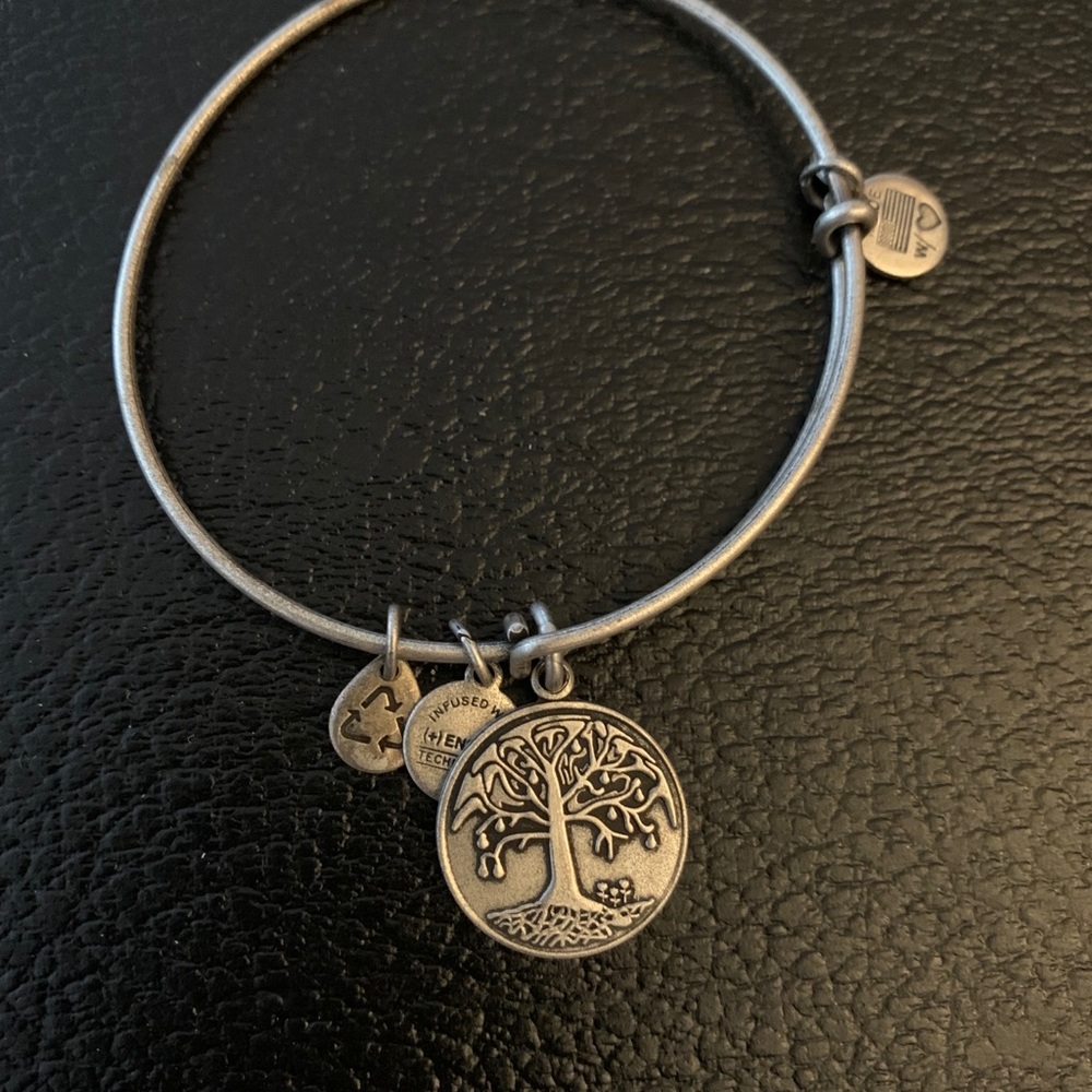 alex and ani bracelet